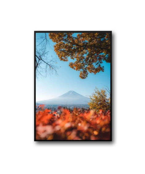⁦Peach Frame⁩ - الصورة ⁦3⁩