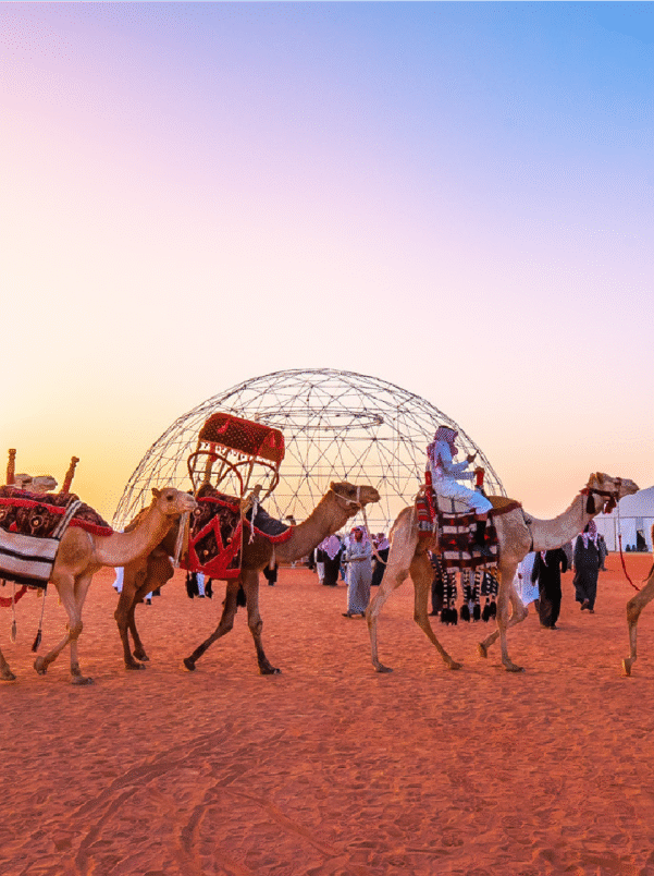 12-مهرجان الملك عبدالعزيز للإبل